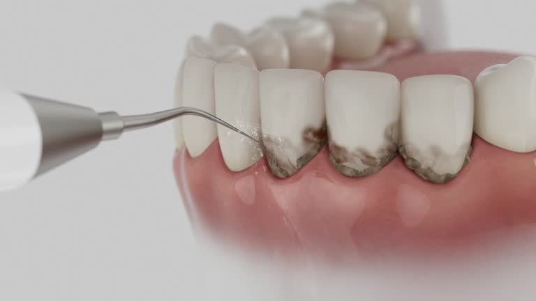Reliable Dental contractor in Oberlin, LA by Dentist Open Now